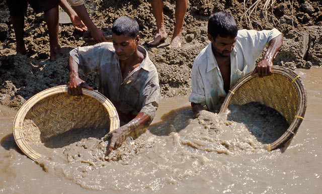 Gem Mining in Sri Lanka